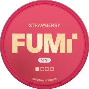 FUMi Strawberry Mini Regular