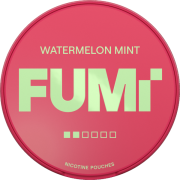 FUMi Watermelon Mint Regular