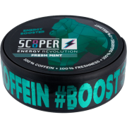 Scooper Energy Fresh Mint