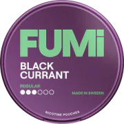 FUMi Blackcurrant Regular