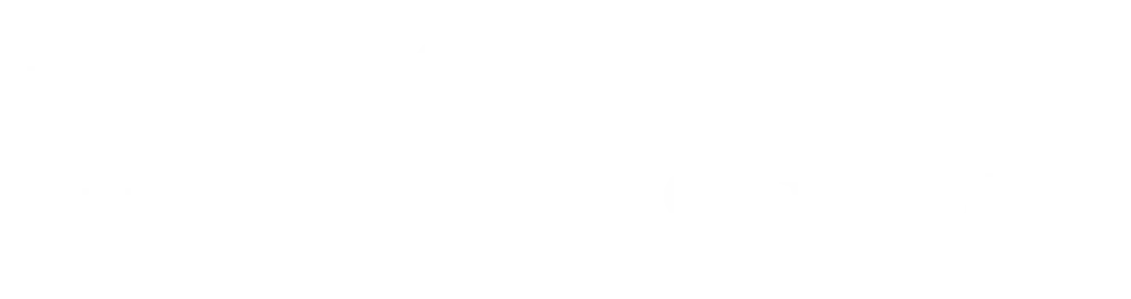 qliro payments
