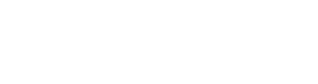 qliro payments